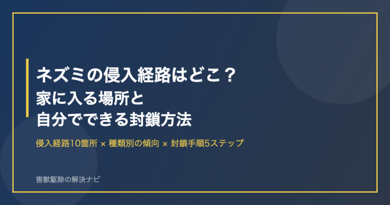 ネズミの侵入経路はどこ？家に入る場所と自分でできる封鎖方法を解説