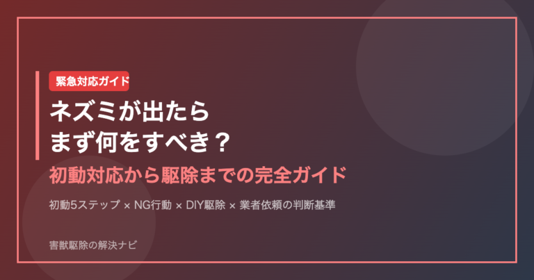 ネズミが出たらまず何をすべき？初動対応から駆除までの完全ガイド