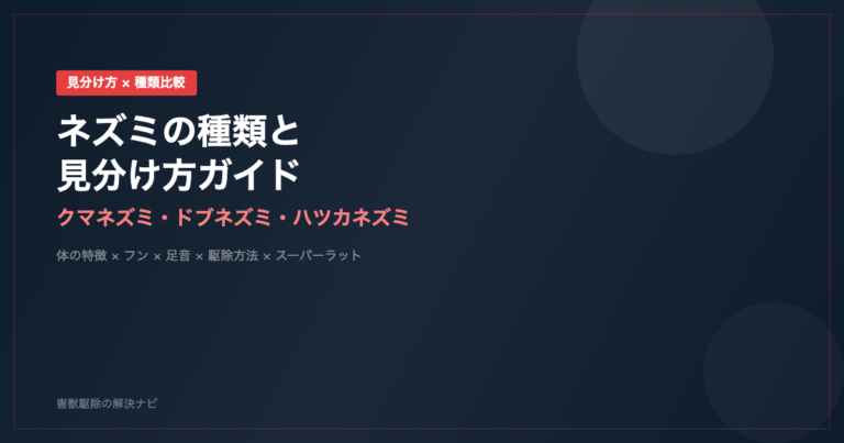 ネズミの種類と見分け方のアイキャッチ画像